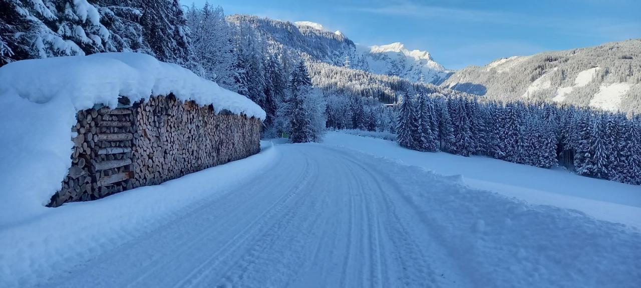 Appartement Winteraugut Werfen Exterior foto